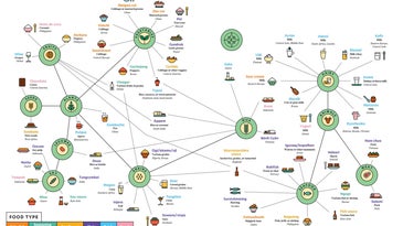 Mona Chalabi fermented food chart