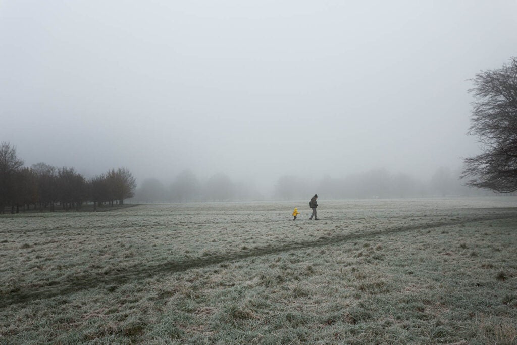 Misty landscape with a person walking in the background