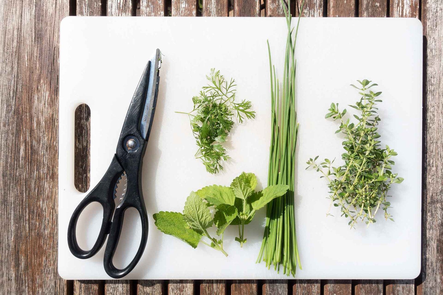 Kitchen scissors and herbs