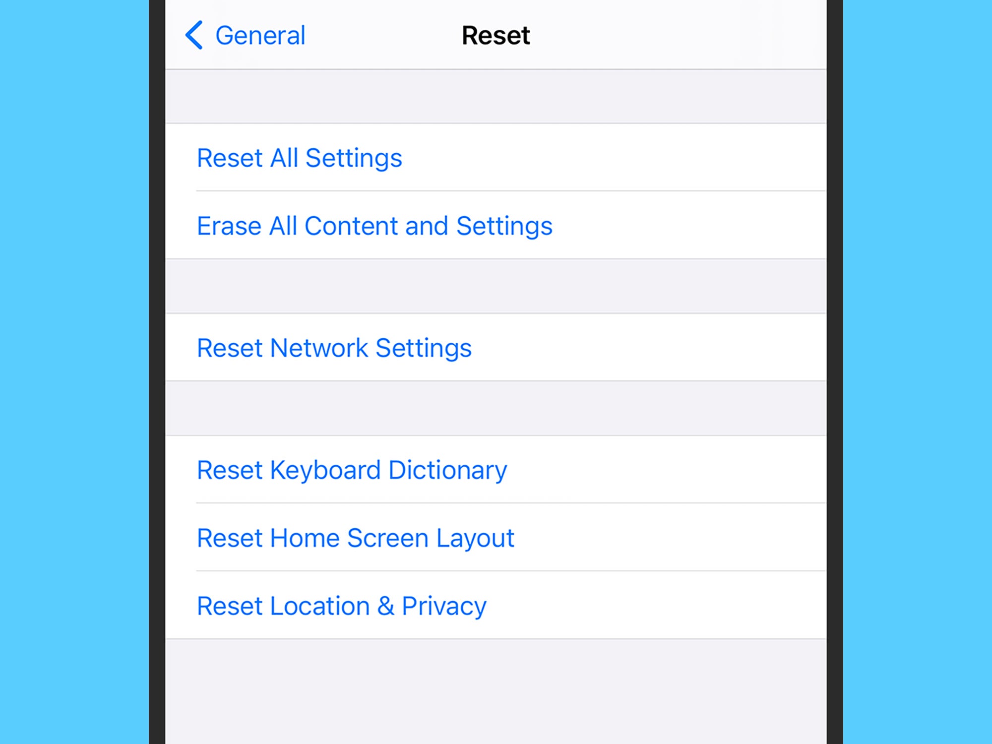 The reset options on an iPhone running iOS.