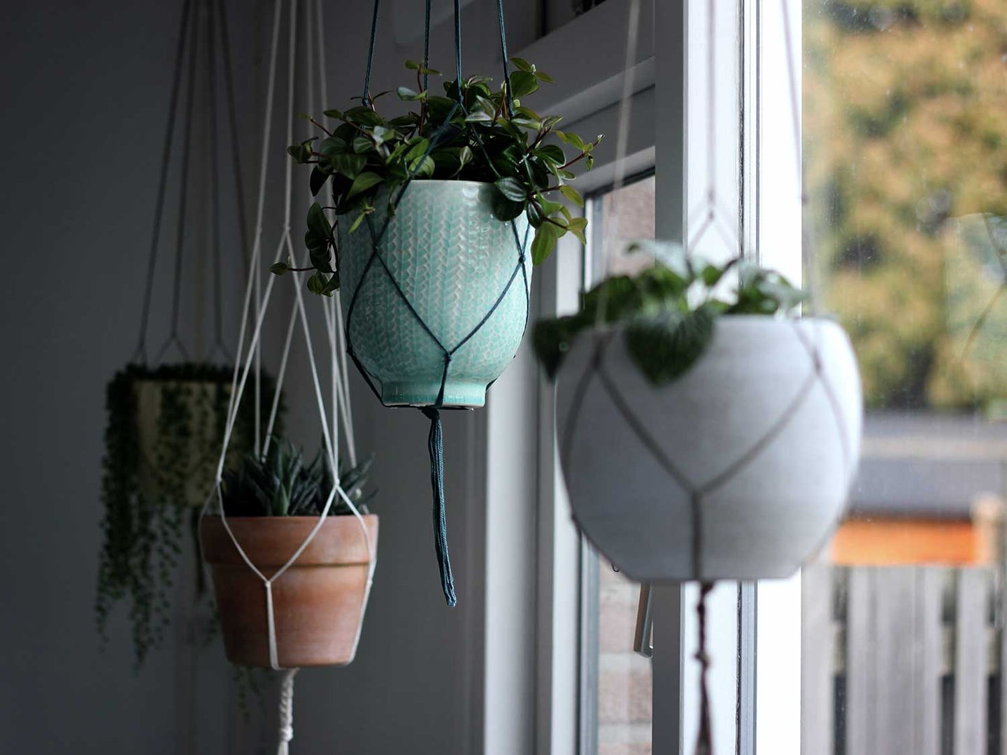 Hanging baskets holding plants.