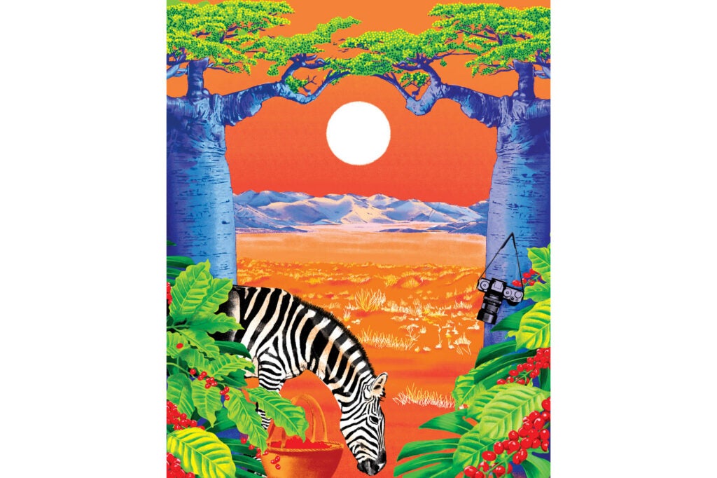 A zebra grazing on an illustrated sunset view of Gorongosa National Park