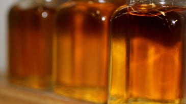 Make your own maple syrup without harming the trees