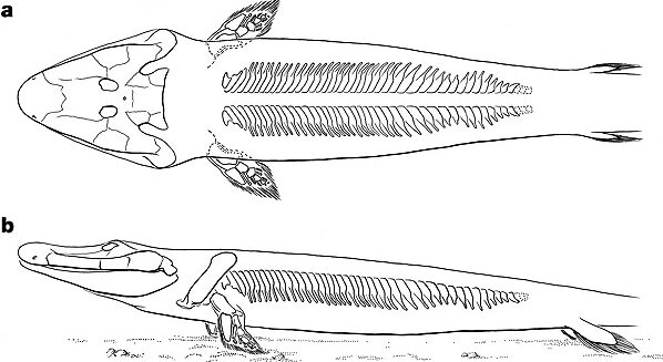 This ancient fish-crocodile mashup snared its prey using a key adaptation