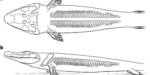 This ancient fish-crocodile mashup snared its prey using a key adaptation