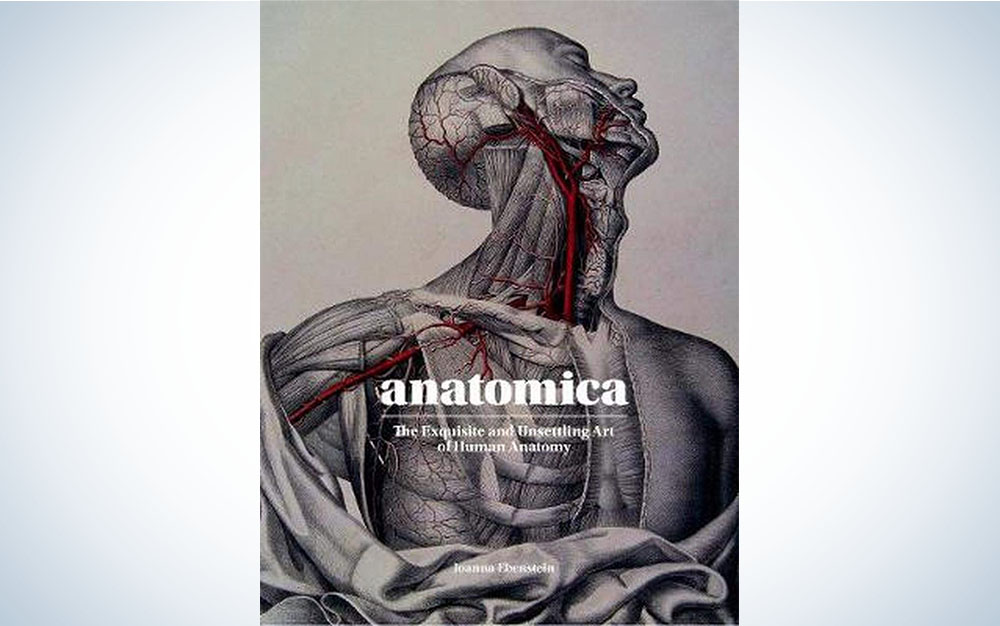 Anatomica is one of our best gift ideas for Valentine's Day.