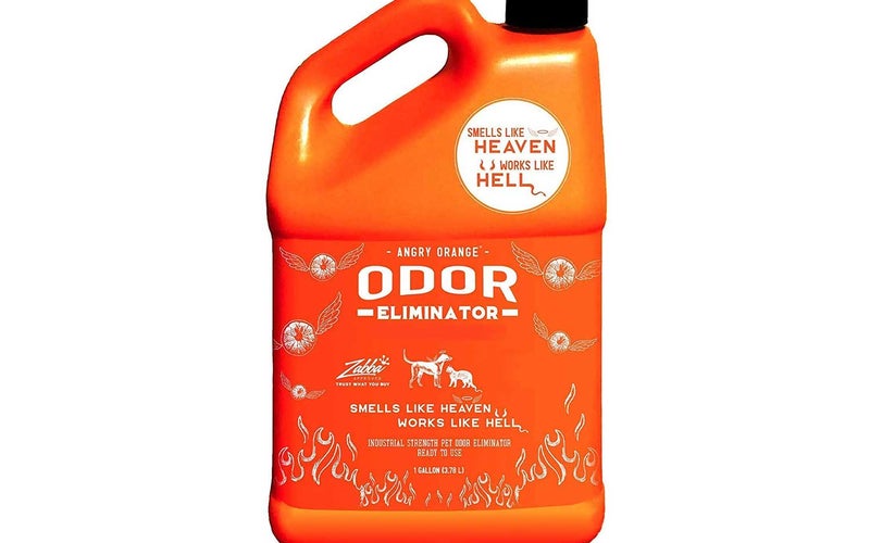 ANGRY ORANGE Ready-to-Use Citrus Pet Odor Eliminator Pet Spray - Urine Remover and Carpet Deodorizer for Dogs and Cats