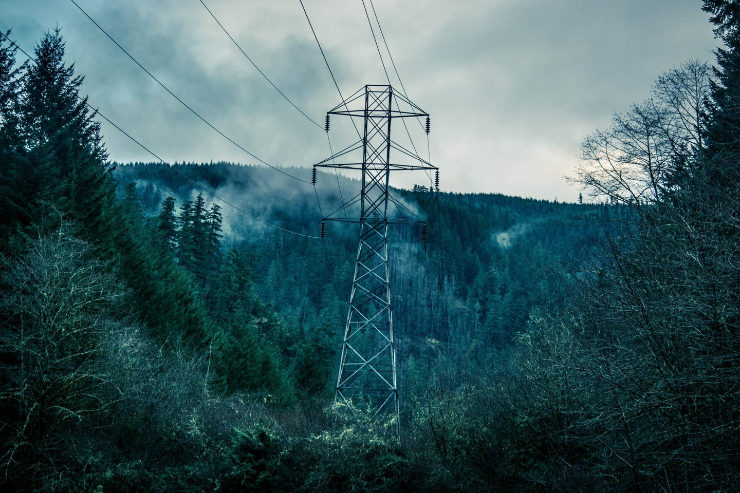 Electricity lines over a deep, gloomy forest with gas rising.