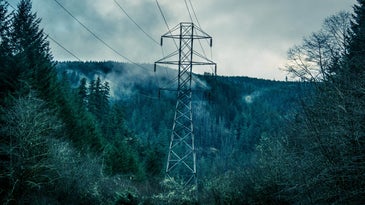 Electricity lines over a deep, gloomy forest with gas rising.