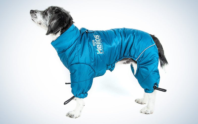 DogHelios Thunder-Crackle Reflective Dog Jacket