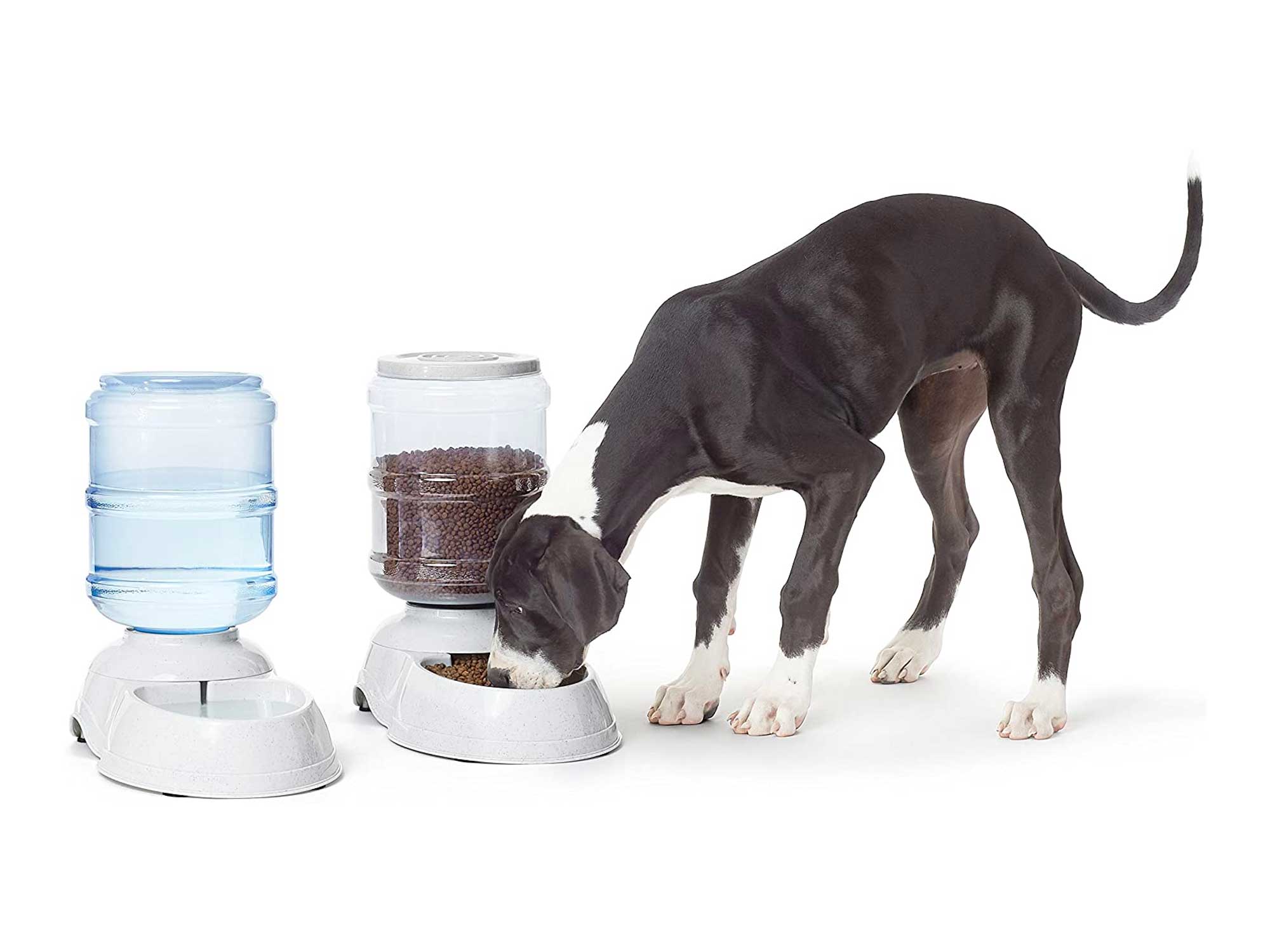 Amazon Basics Gravity Pet Food Feeder and Water Dispenser Bundle, Large
