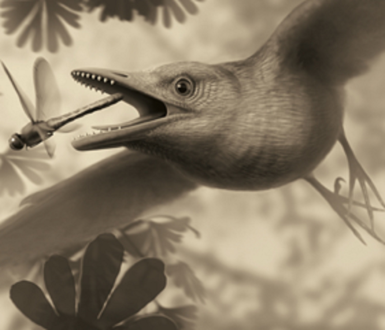 Were rocks on the menu for these ancient birds?
