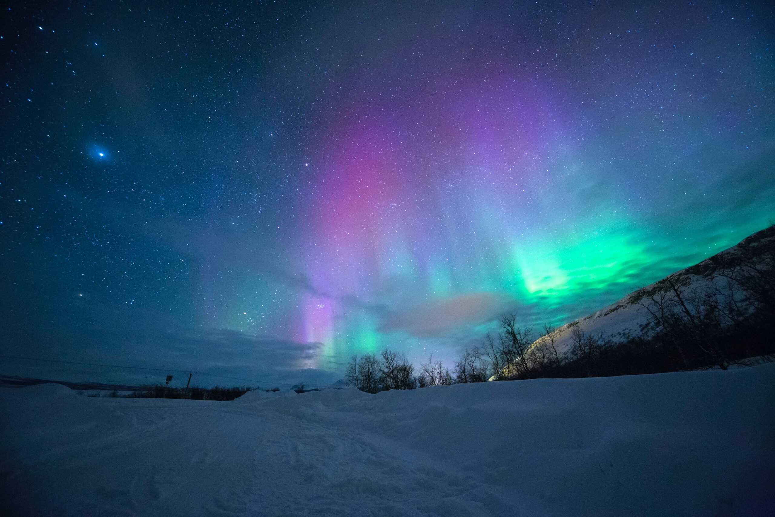 Aurora sky over icy winter forest at night