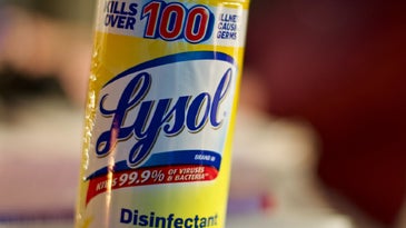 Yellow can of Lysol disinfectant spray