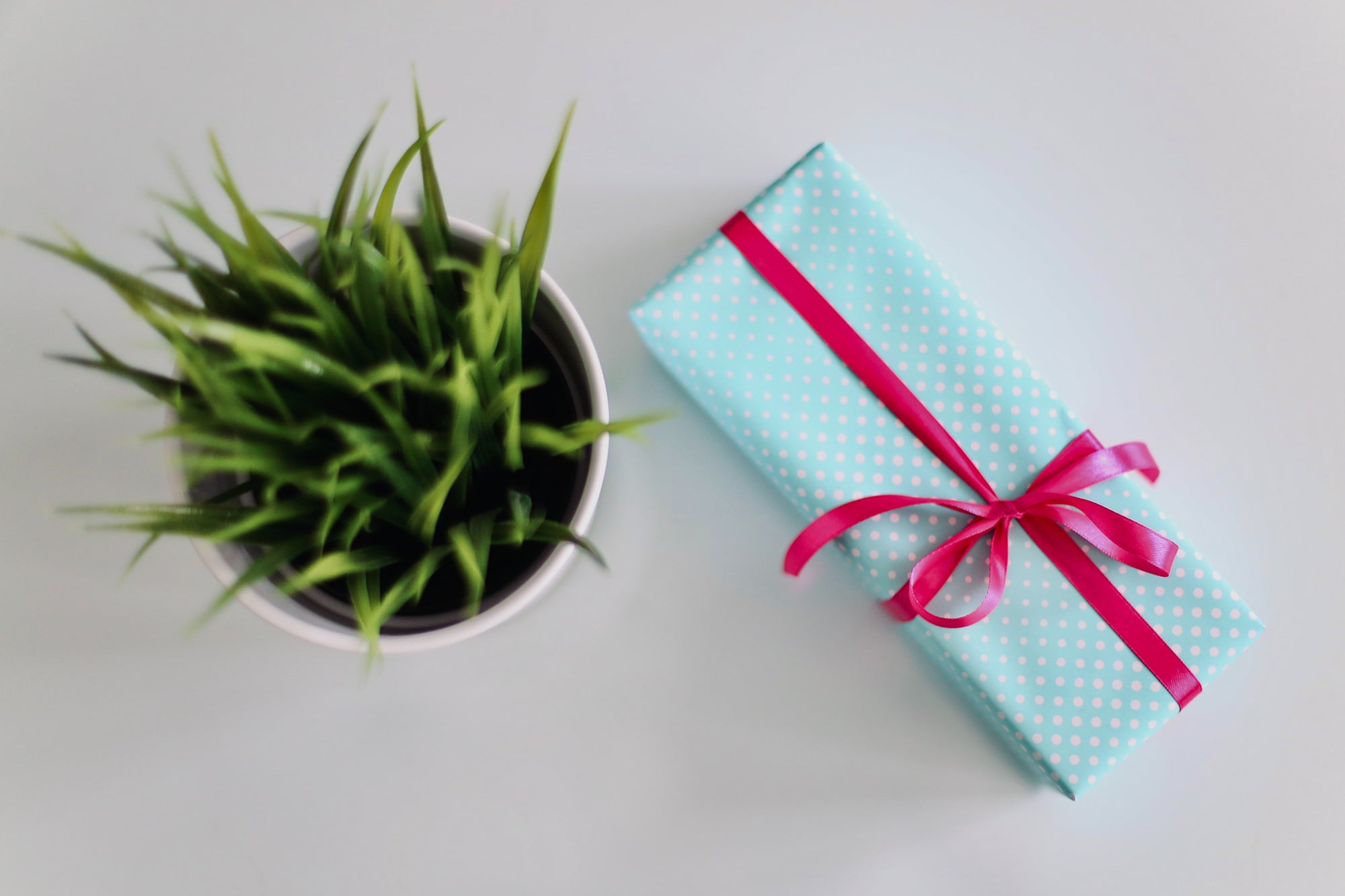 Best Gifts for Women: Amazing Birthday Gift Ideas for Her | Popular Science