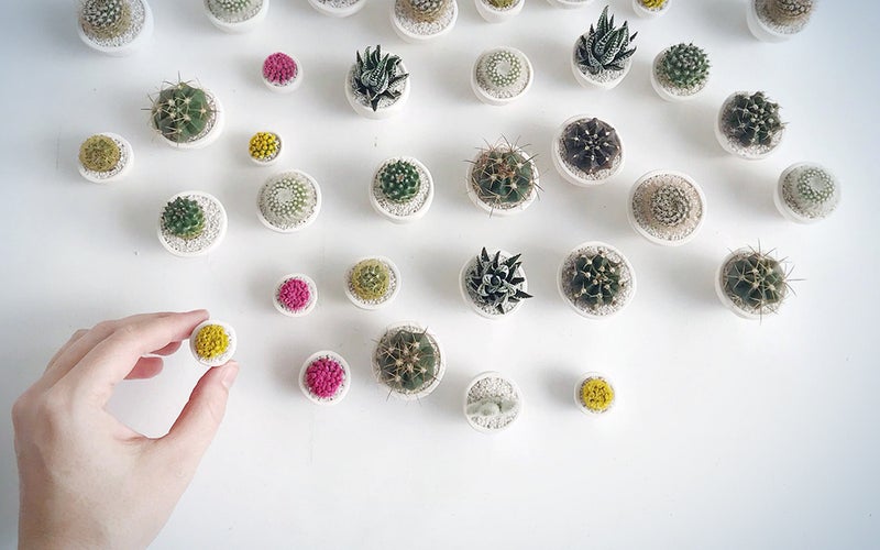 SURPRISE! Mini Cactus and Mini Handmade Ceramic Planterme