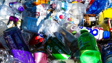 Plastic water bottles and aluminum soda cans in a bin