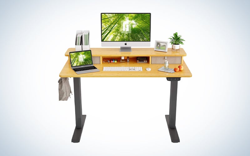 FEZIBO Adjustable Electric Standing Desk