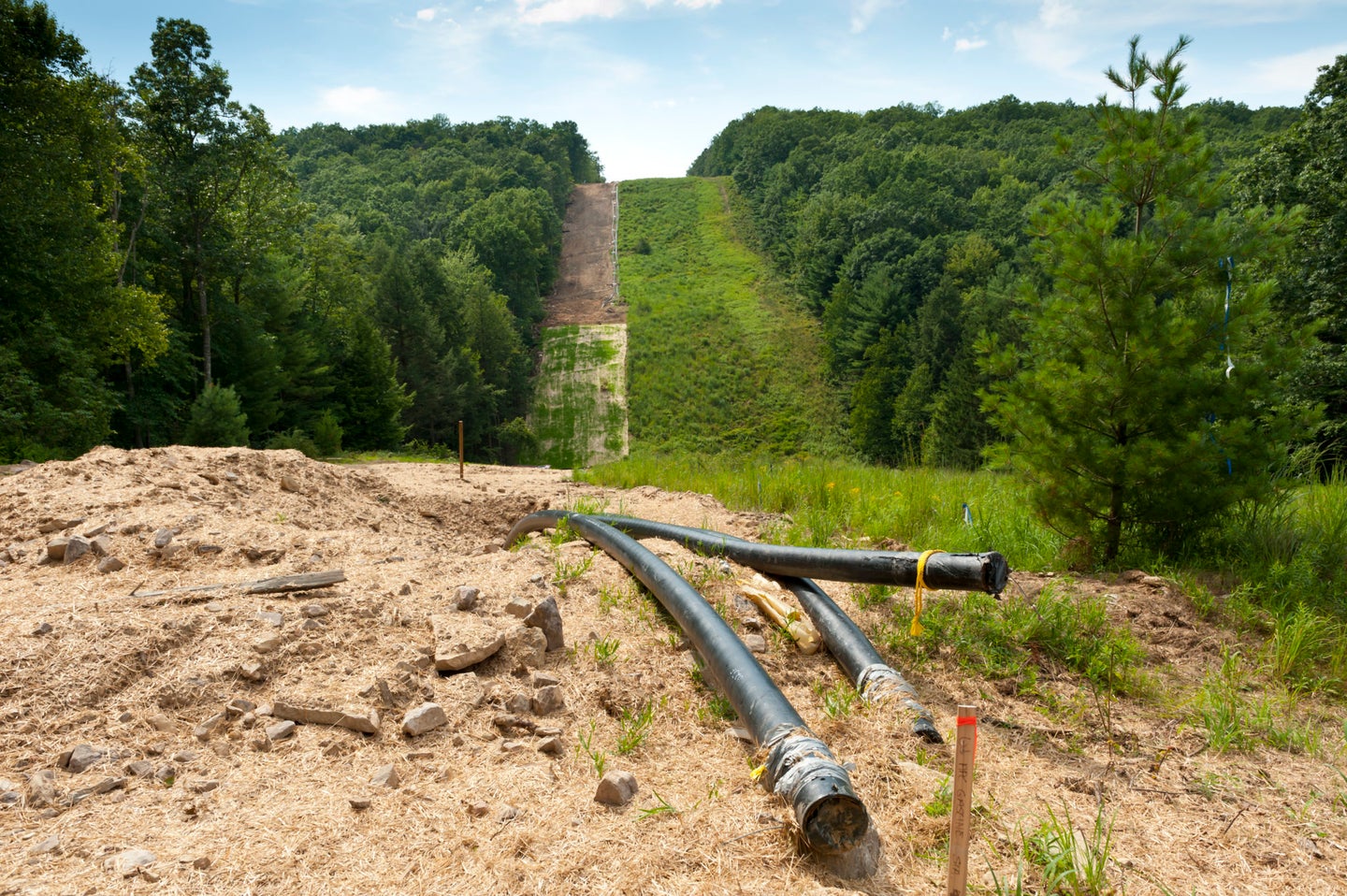 A gas pipeline under construction in a clear-cut strip of forest