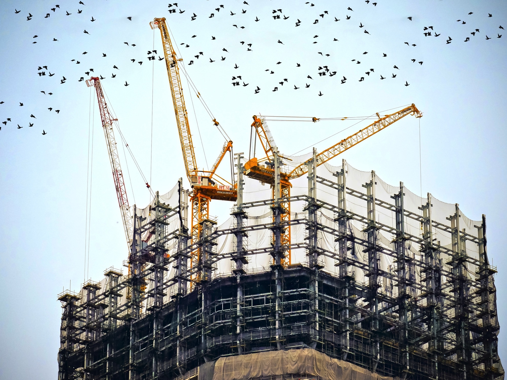 cranes building a skyscraper