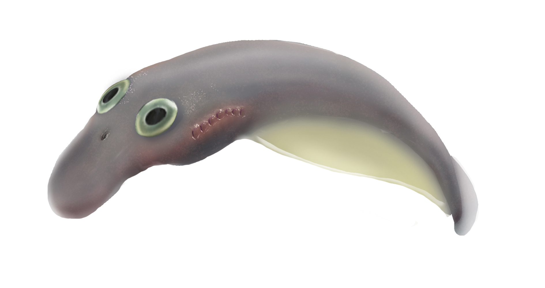 These fossilized lamprey hatchlings disprove an age-old evolutionary theory