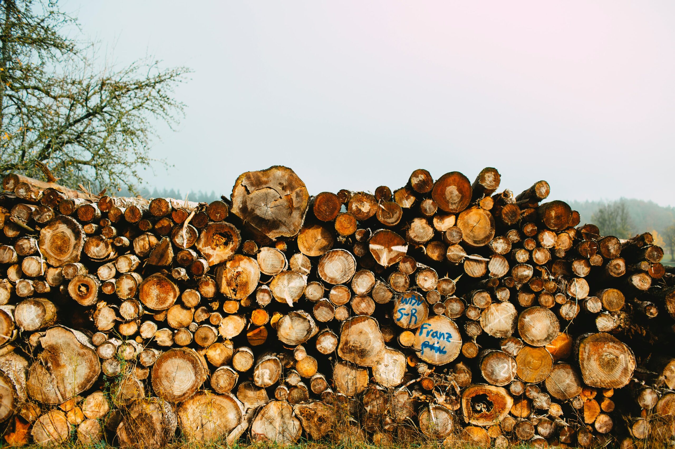 Burning wood pellets won’t help us fight climate change
