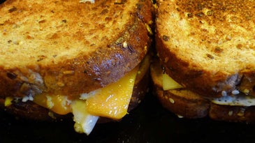 Grilled cheese sandwich