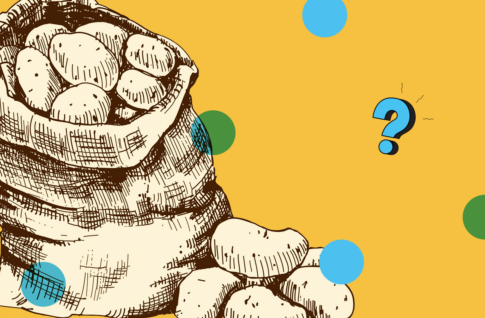The Ask Us Anything logo with an illustrated heap of potatoes.