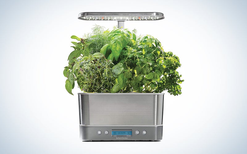 smart garden with plants growing out of it is one of the best birthday gift ideas for men