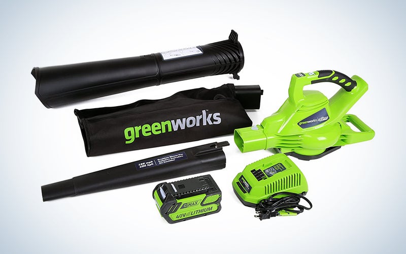 greenworks leaf blower vacuum with accessories
