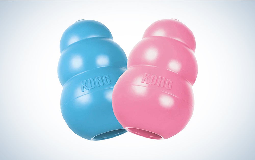 blue and pink kong puppy toys