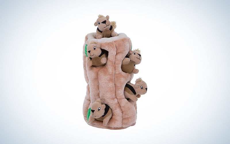 squirrel and log dog puzzle toy