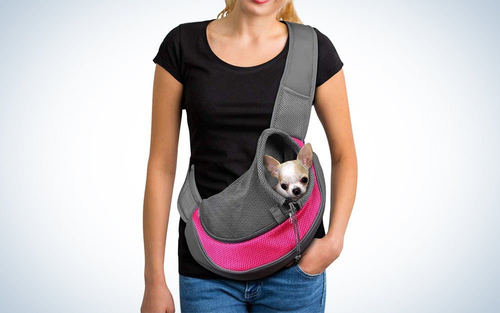 woman wearing a pet sling with a dog in it