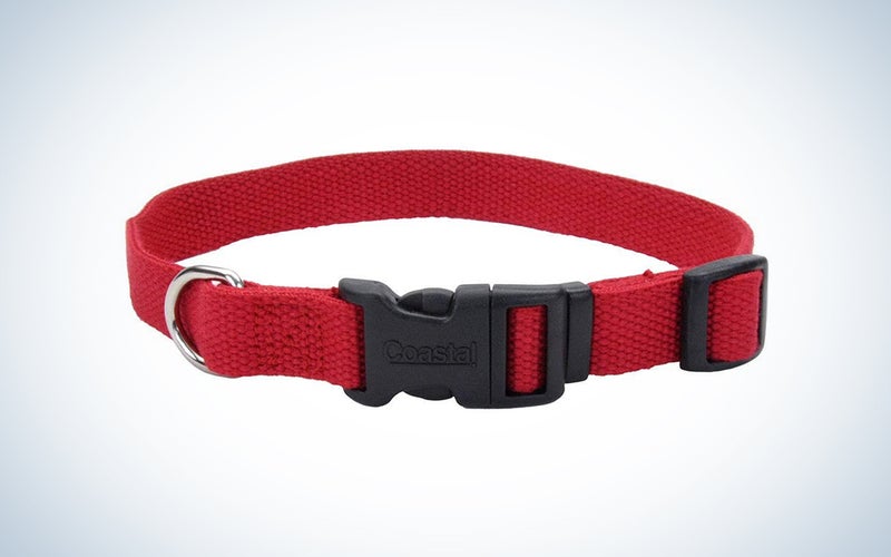 red budget dog collar