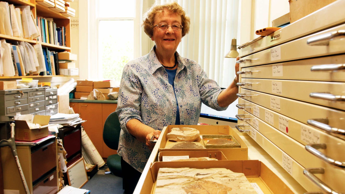 Geologist in buttondown and glasses pulling out museum drawers with fossils