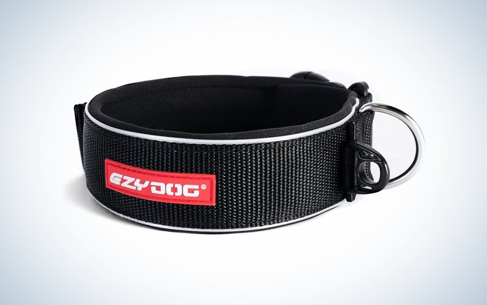 best dog collars for large dogs
