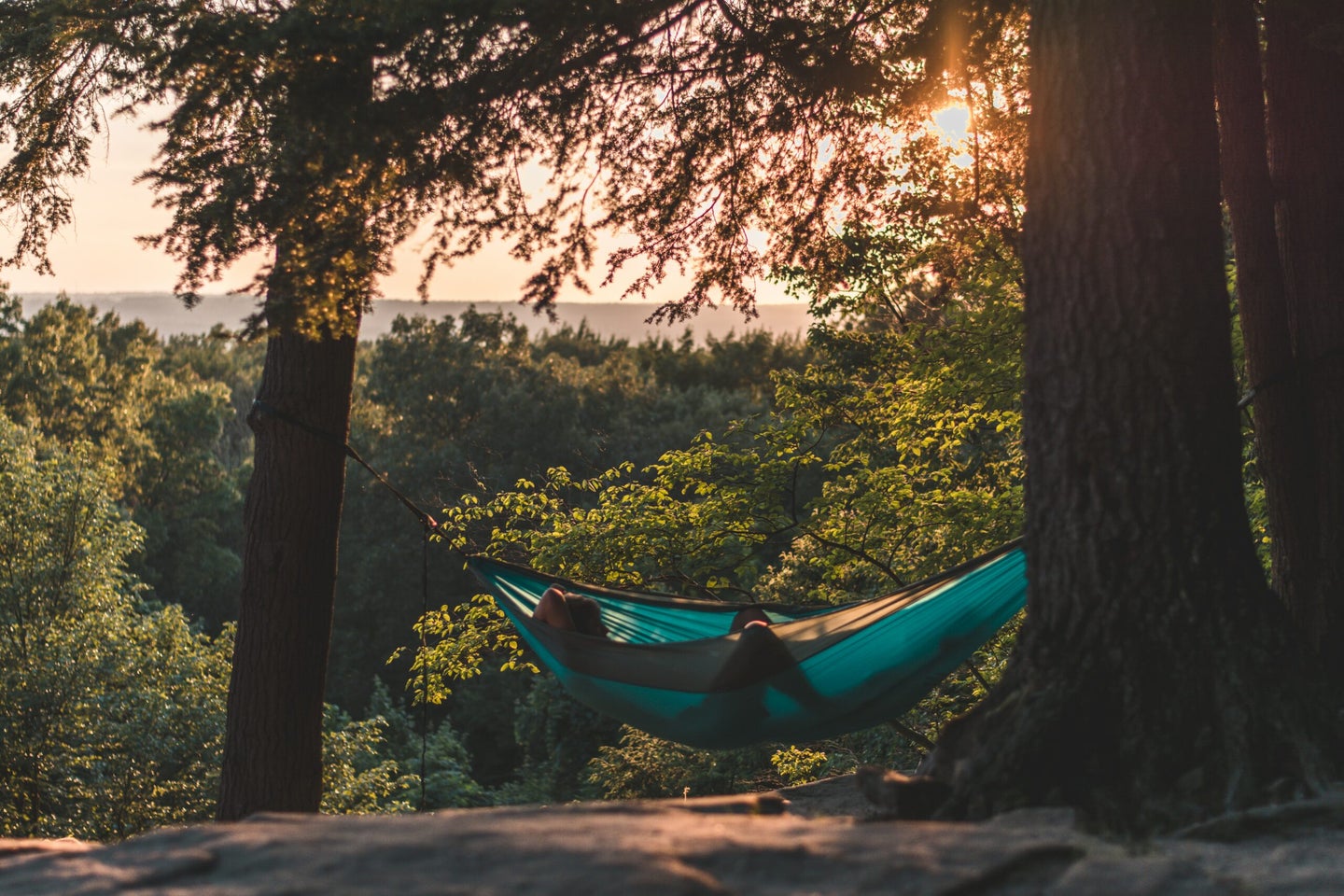 person in a hammock in between two trees