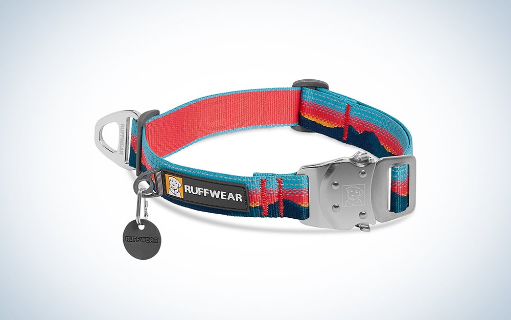The best dog collars of 2023