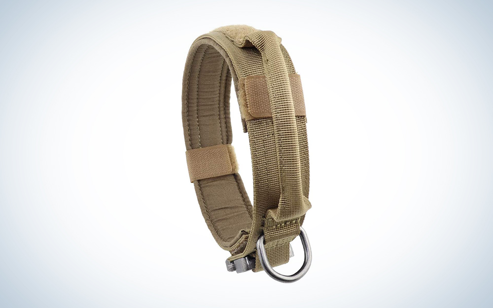 brown tactical dog collar