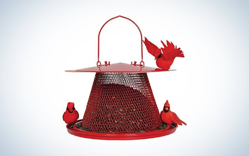 red cardinal bird feeder