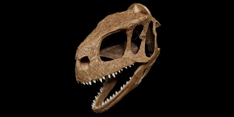 This newly discovered dinosaur is called ‘the one who causes fear’ for a reason