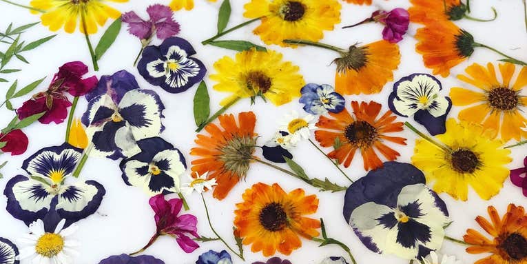 It’s time to start adding edible flowers to your food