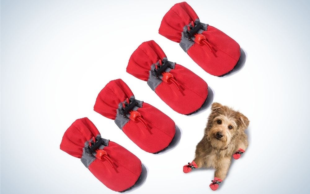 Four pair of red dog boots in line with each other and a dog under them.