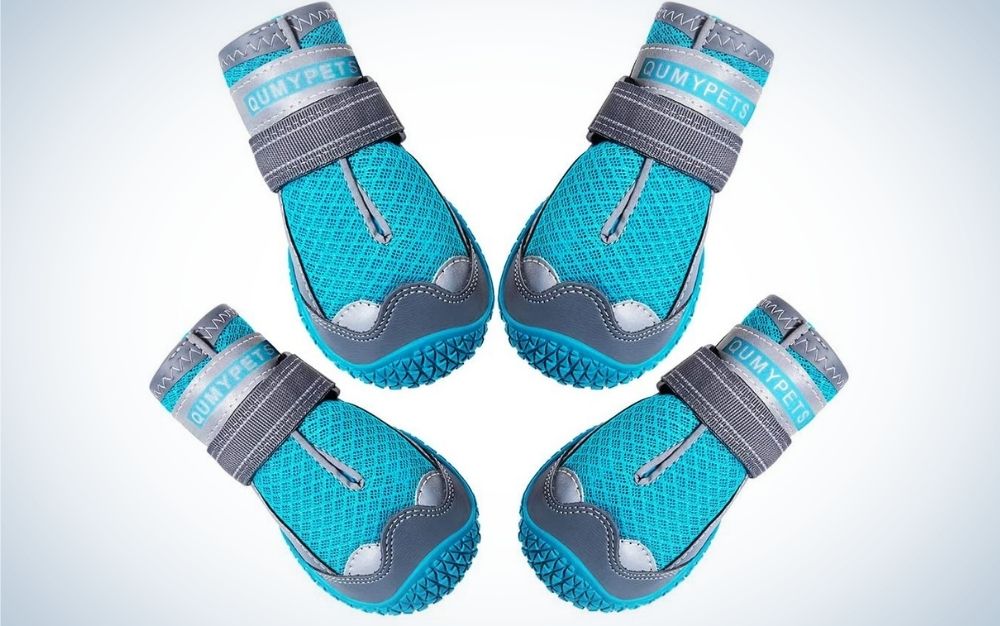 Four blue and grey pair of socks with reflective and adjustable straps.