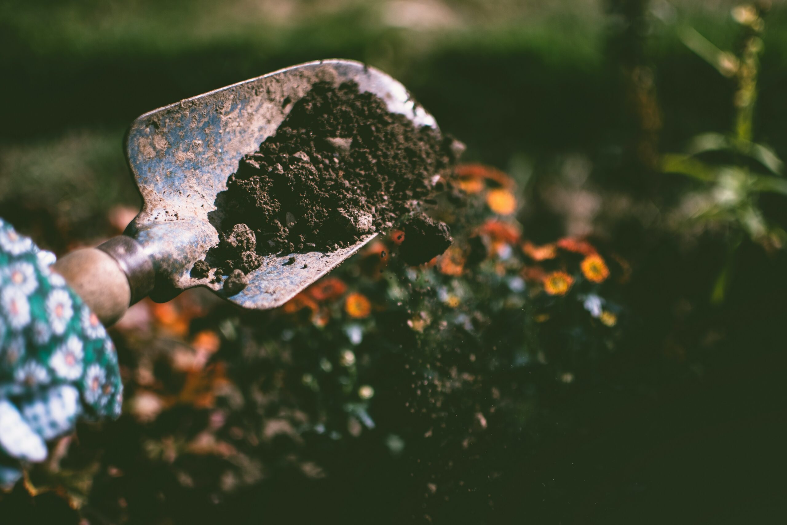 Compost can help protect us from food poisoning