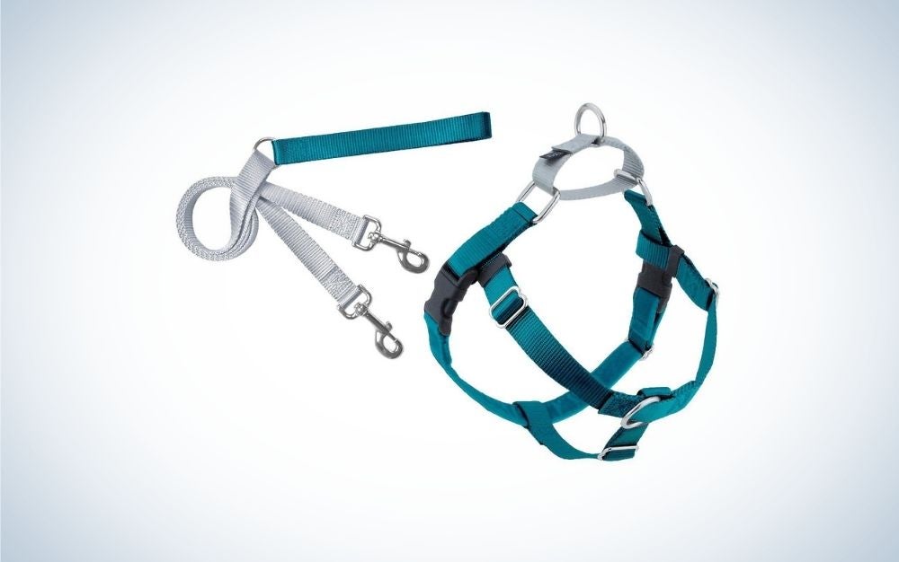 Ocean blue and grey dog harness and leash best dog harnesses