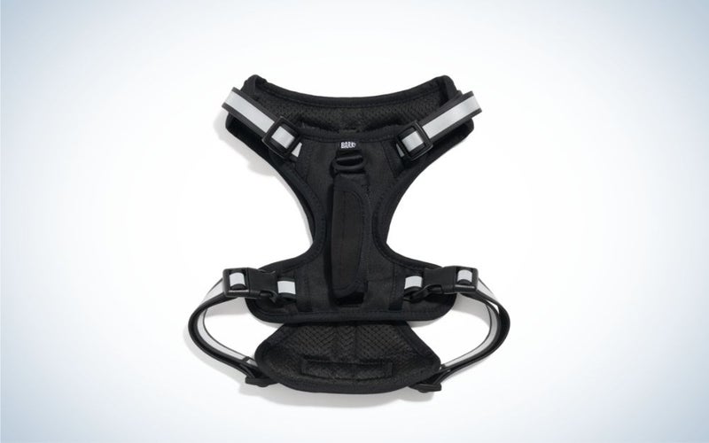 Black dog harness with gray straps