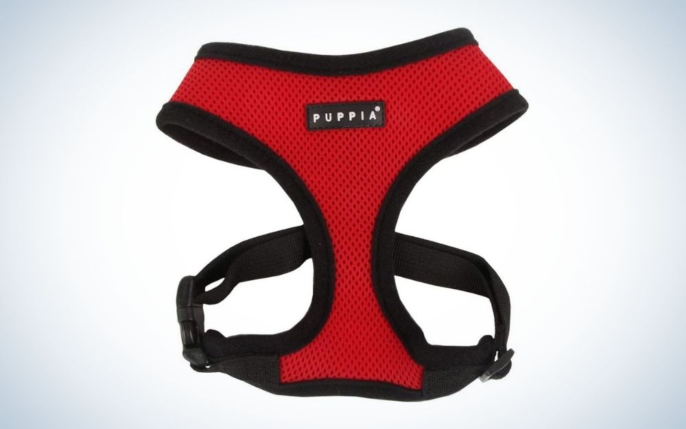 Red and black dog harness with adjustable chest belt and quick release buckle