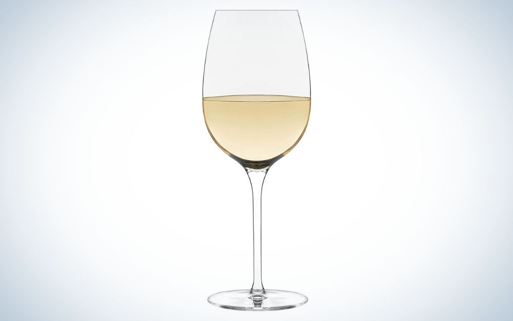 Wine glass for casual dinning
