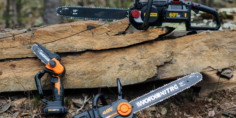 The best chainsaws of 2024
